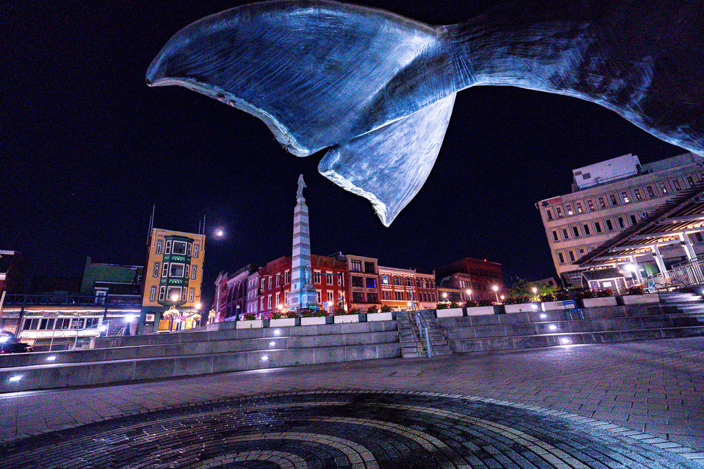 Parade Plaza New London Whale Tail Nightscape Coffee Mug — Waterfront Lights & Sculpture Accent Mug (11/15oz)